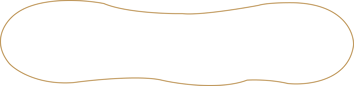 Timeline